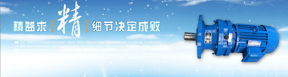 行星摆线减速机-青岛博星减速机厂